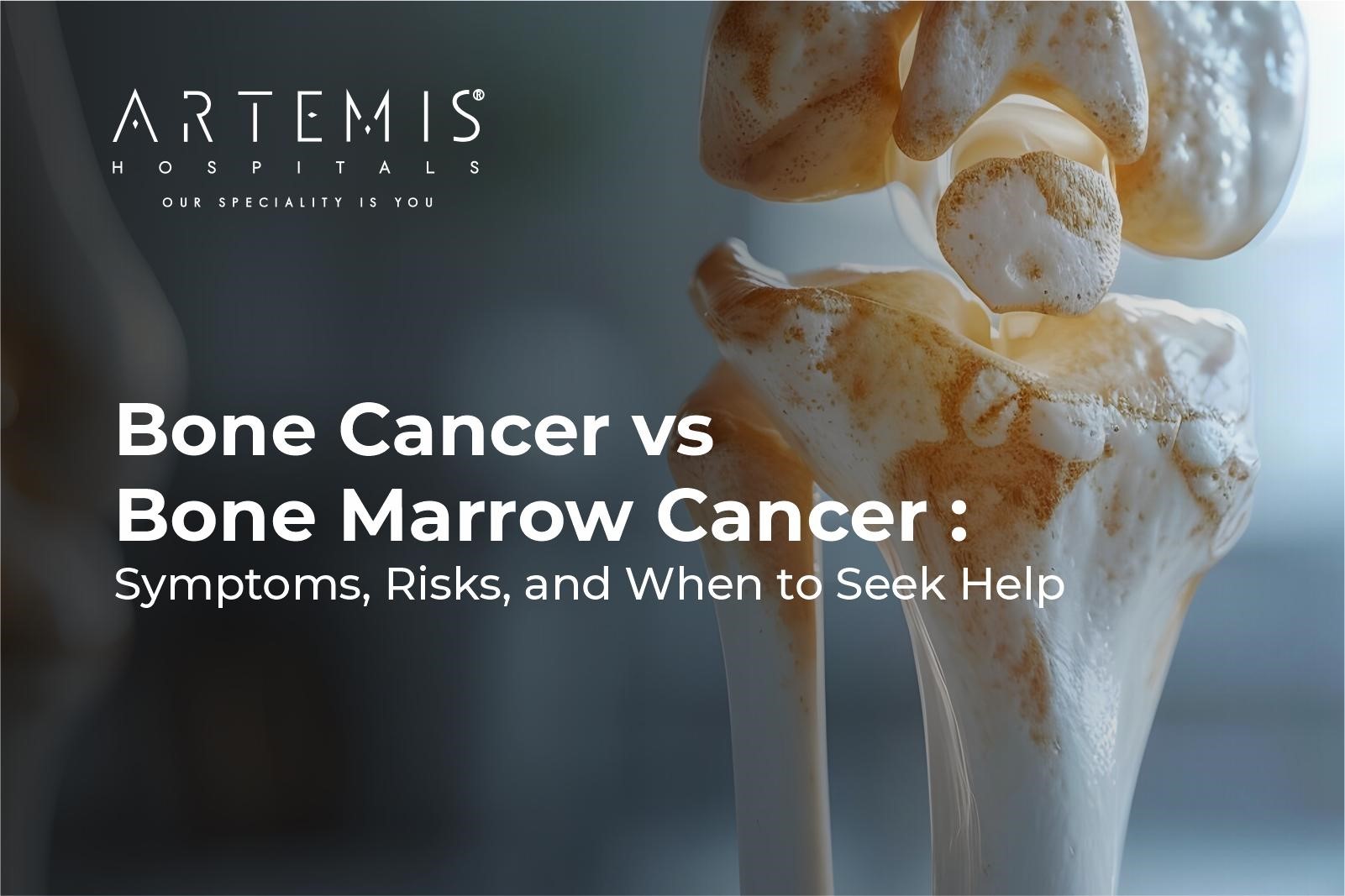 Bone Cancer vs Bone Marrow Cancer