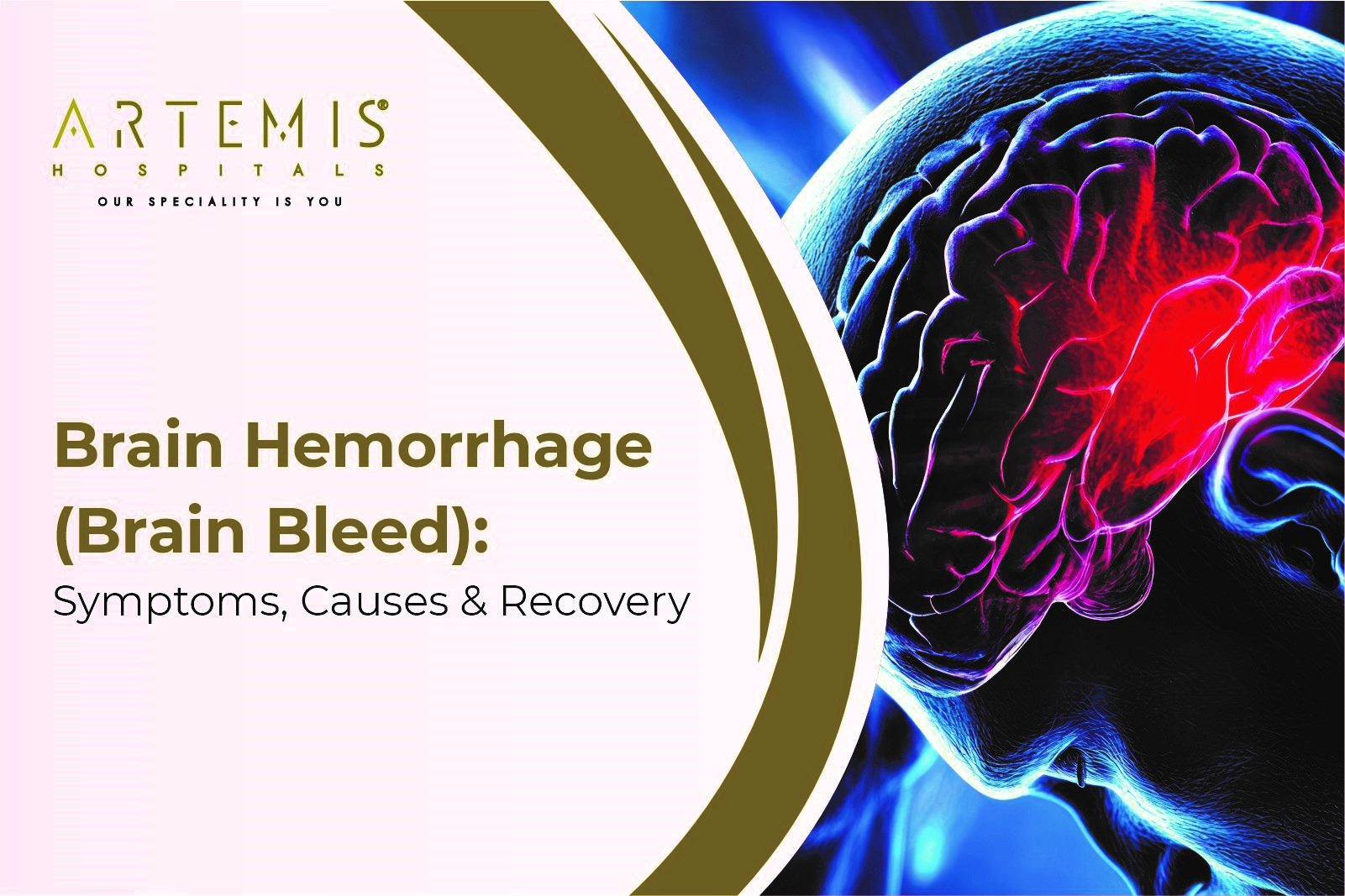 Brain Bleed Symptoms