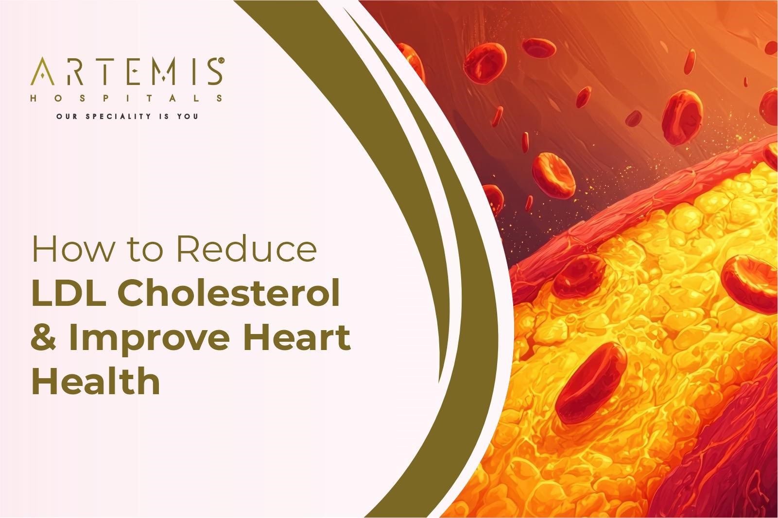 How to Reduce LDL Cholesterol