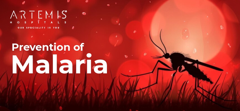 Prevention of Malaria