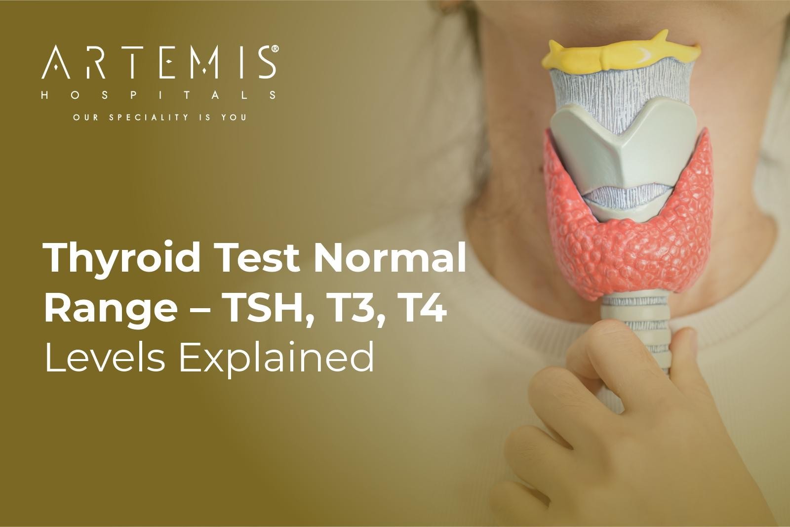 Thyroid Test Normal Range