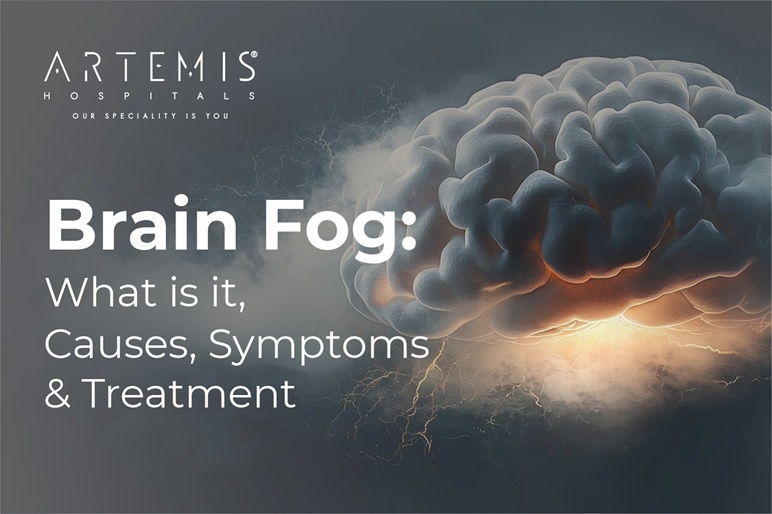 Brain Fog Symptoms