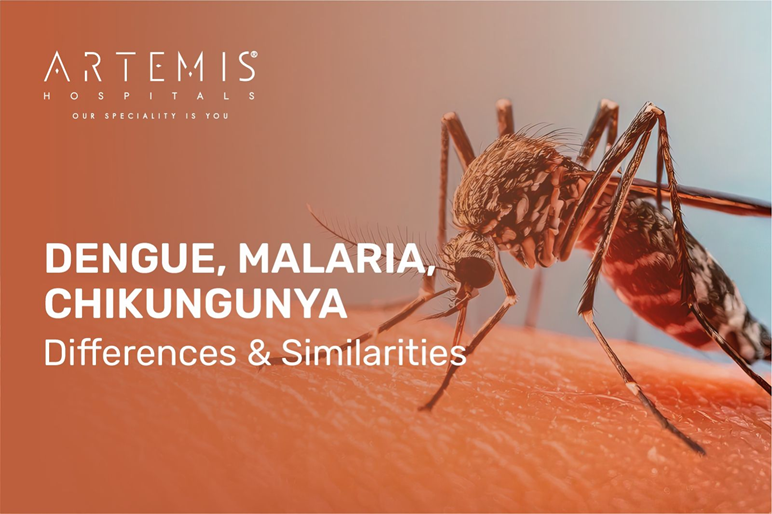 Dengue vs Malaria vs Chikungunya