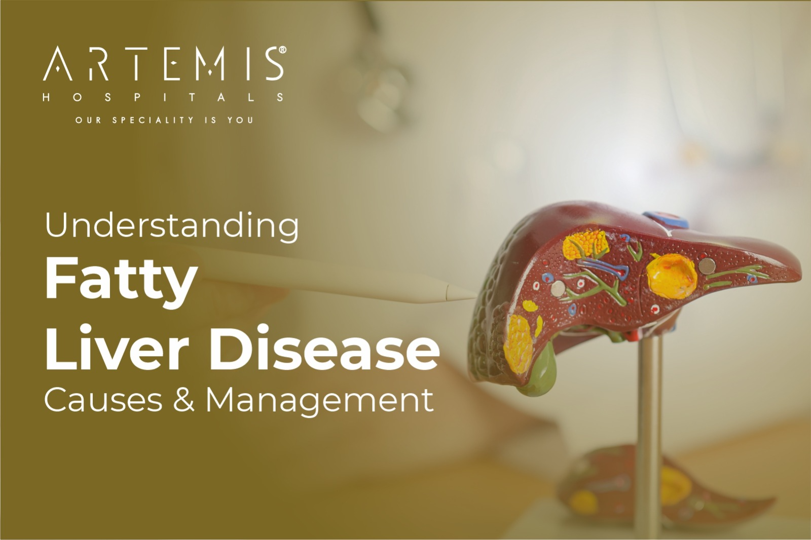 Fatty Liver Symptoms