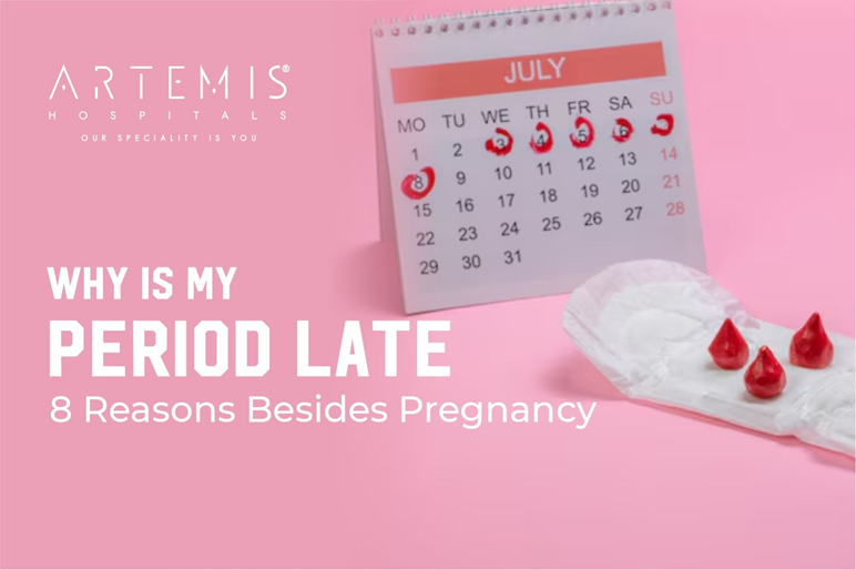 Reasons for Late Period?